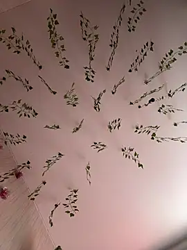 -Sexy Barbie- online show from 02.25.25