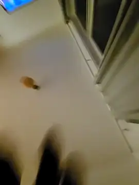 eric69 69 online show from 11.07.25