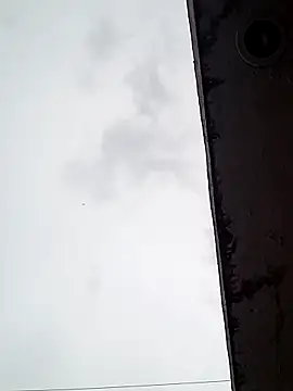 Professor Leo  online show from 02.16.25