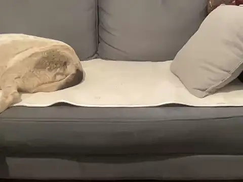 4small4inchlol online show from 09.17.25