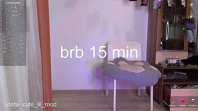 art phoenix online show from 03.11.25