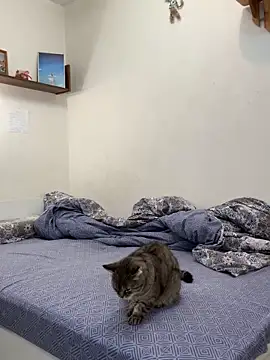 UmaTruewoman online show from 11.18.25