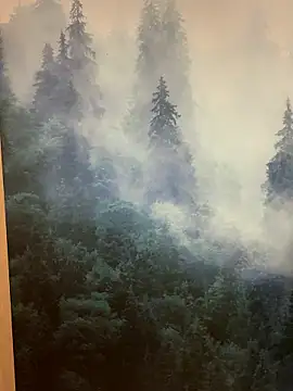 ladoucedu34 online show from 01.12.26