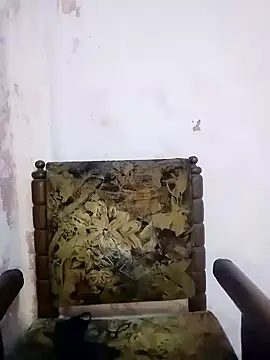 Bulbul 02 online show from 03.05.25