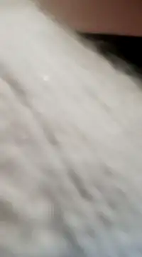 JAWHARA  online show from 12.15.24