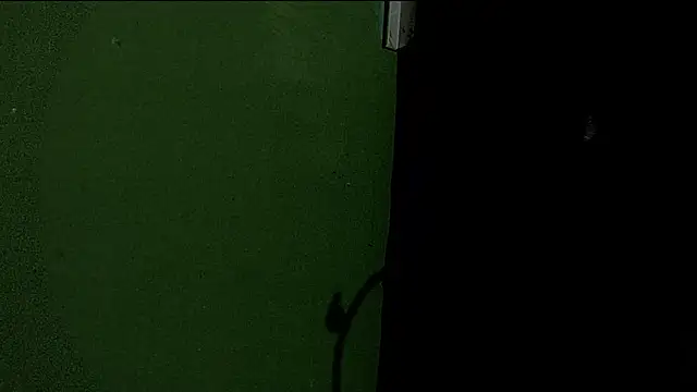 Deleon1995 online show from 01.02.25