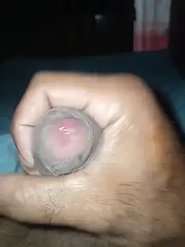 taylorWiiz online show from 12.04.25