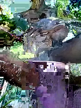 gwadaa9 online show from 12.22.25