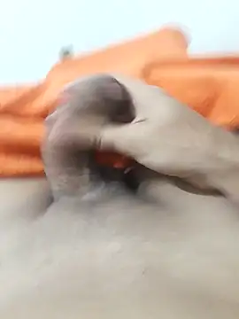 lm279 online show from 02.03.26