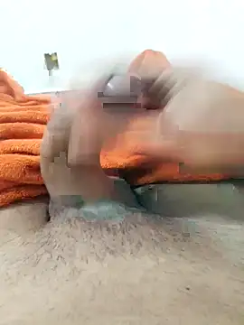 lm279 online show from 03.04.26