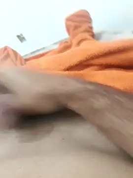 lm279 online show from 04.05.26