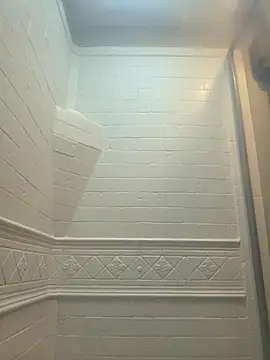 Cobra500hp online show from 03.29.26