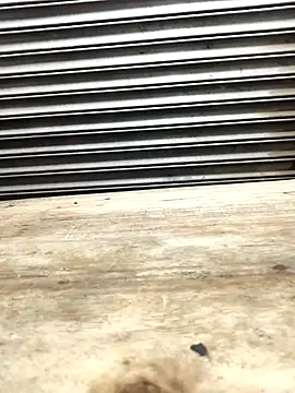 Bhabhi desi12 online show from 11.09.25