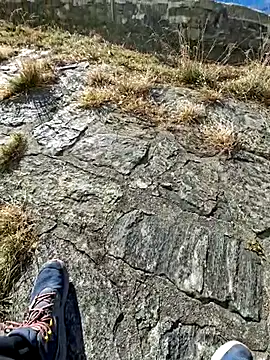 tony7567 online show from 11.27.25