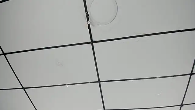 Snapshot of Sophia_Lemos chatting on 10.18.25 Sophia Lemos online show from 10.18.25