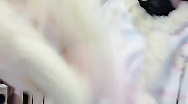 arena1357 online show from 02.09.25