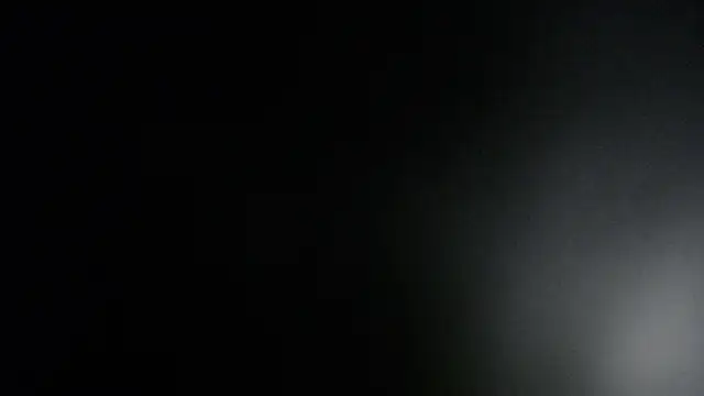 ViolethRammtein online show from 01.27.25