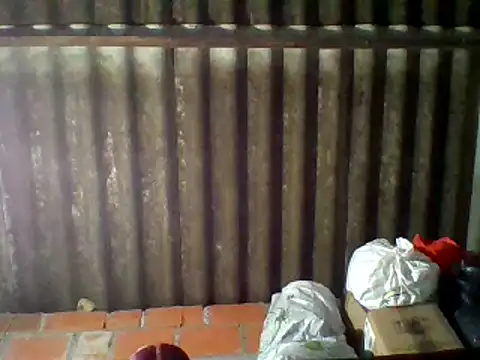 dafne19  online show from 02.16.25