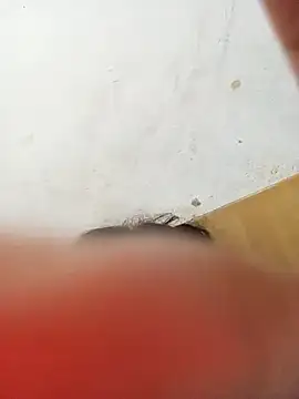 ambarlennoix online show from 01.12.25