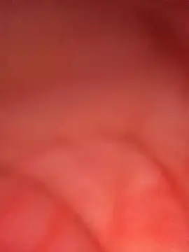 ambarlennoix online show from 10.09.25