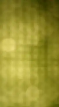 Sexybeer2005 online show from 12.07.24