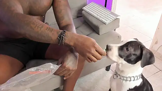 Dvid Rullers online show from 09.16.25