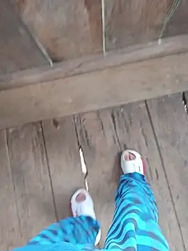 FKF2004 online show from 01.11.26