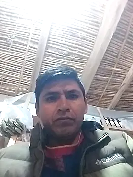 12plis online show from 11.29.25