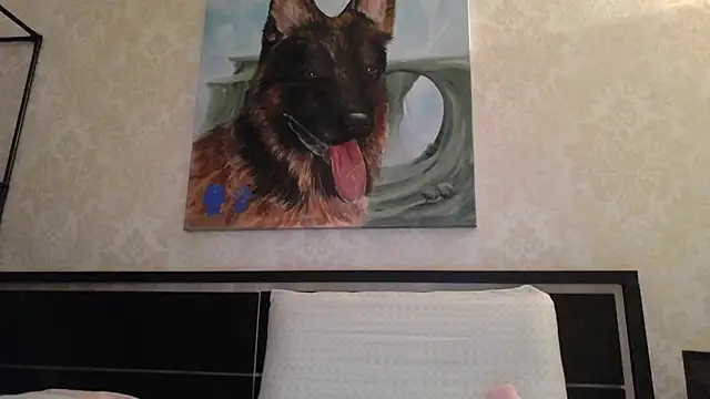 Kashtanka  online show from 02.23.25