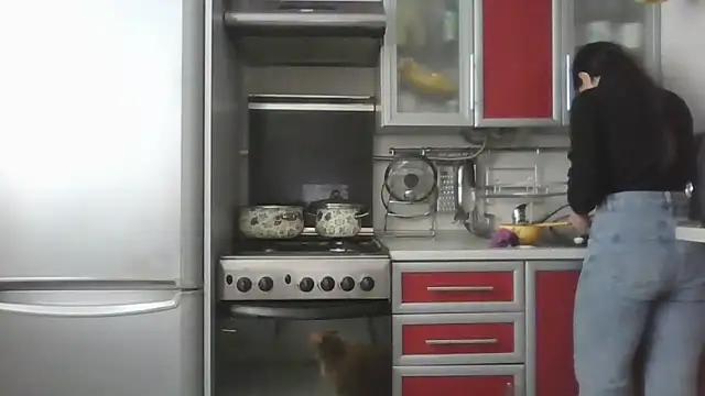 Kashtanka  online show from 03.25.26