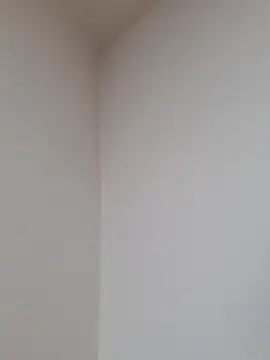 D vid99 online show from 11.12.25