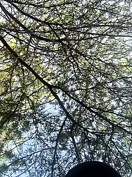 Snapshot of Abinash7732 chatting on 03.08.26 Abinash7732 online show from 03.08.26