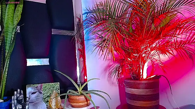 RyanRizzo online show from 01.22.25