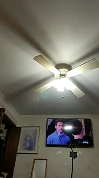 vanscr1 online show from 12.20.24