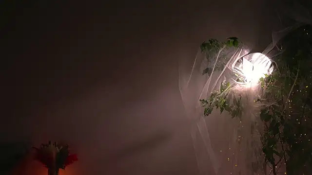 lorrie love story online show from 10.07.25