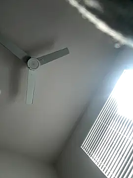 PointingPetrol online show from 01.05.26