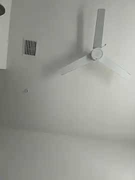 PointingPetrol online show from 01.14.26