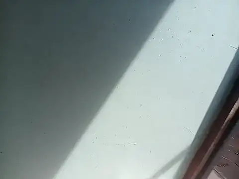 izinjamfee2 online show from 10.05.25