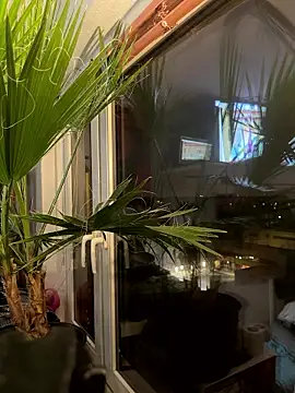 Snapshot of pillepallex84x chatting on 01.09.26 pillepallex84x online show from 01.09.26