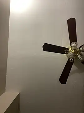 islandvybee55 online show from 03.17.26