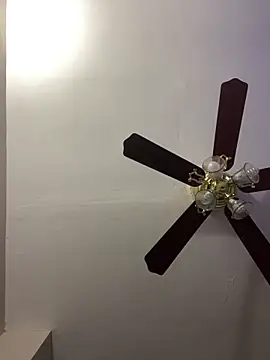 islandvybee55 online show from 04.15.26