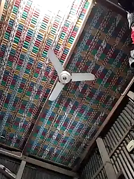 Koyel-Sen online show from 01.22.25