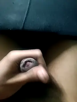 Snapshot of AloneDick chatting on 11.17.25 AloneDick online show from 11.17.25