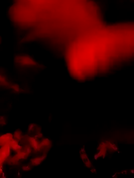 DaniSexFlow online show from 03.31.26