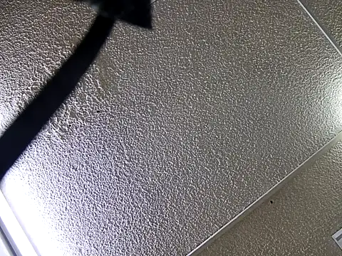 Snapshot of yajahil chatting on 11.28.25 yajahil online show from 11.28.25