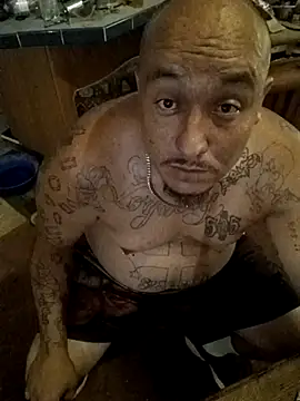 wilsons12 online show from 10.12.25