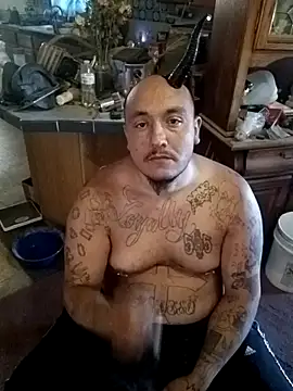 wilsons12 online show from 10.25.25