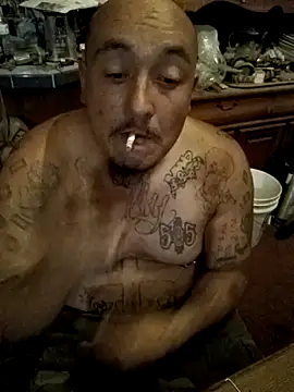 wilsons12 online show from 11.04.25