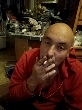 wilsons12 online show from 11.24.25