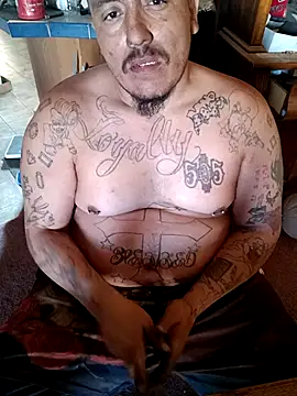 wilsons12 online show from 12.04.25